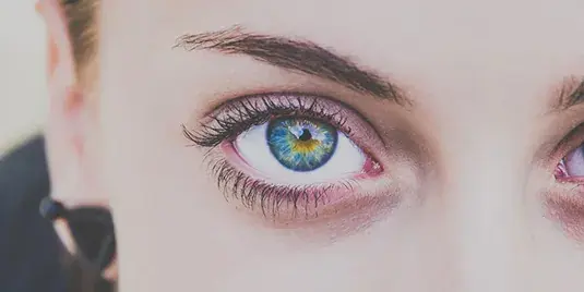 Mania representation