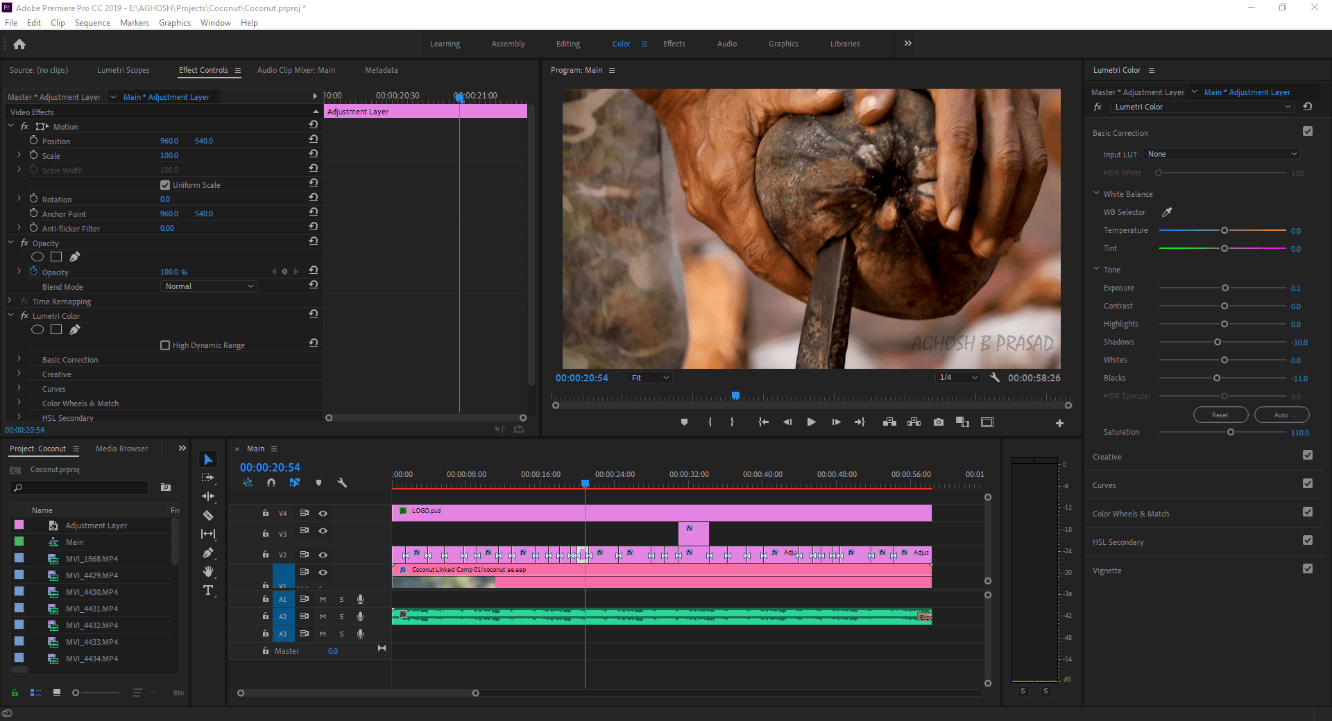 Premiere Pro Timeline - Coconut Use