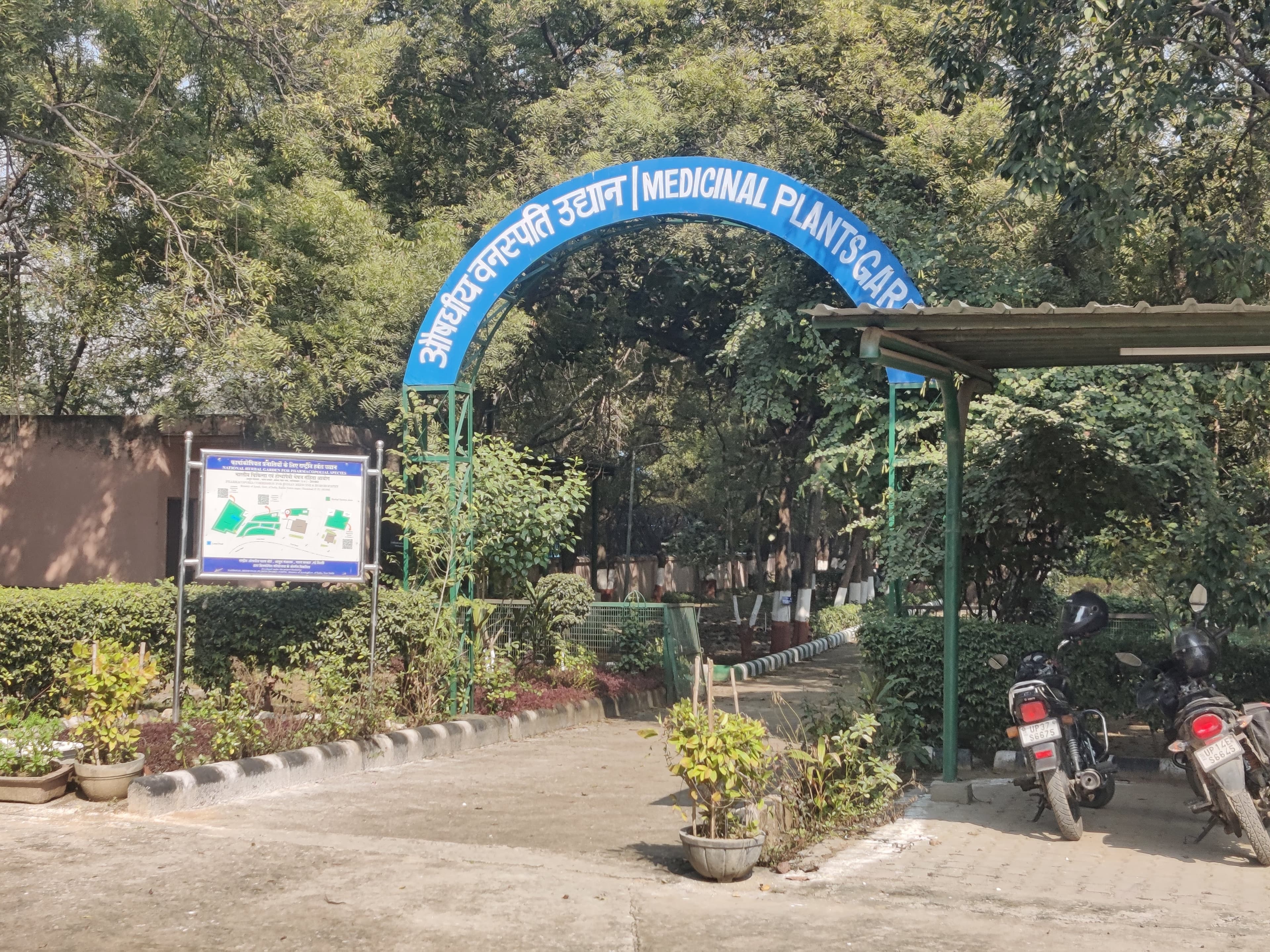 Medicinal Plants Garden